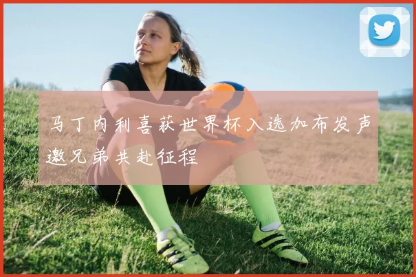 马丁内利喜获世界杯入选加布发声邀兄弟共赴征程